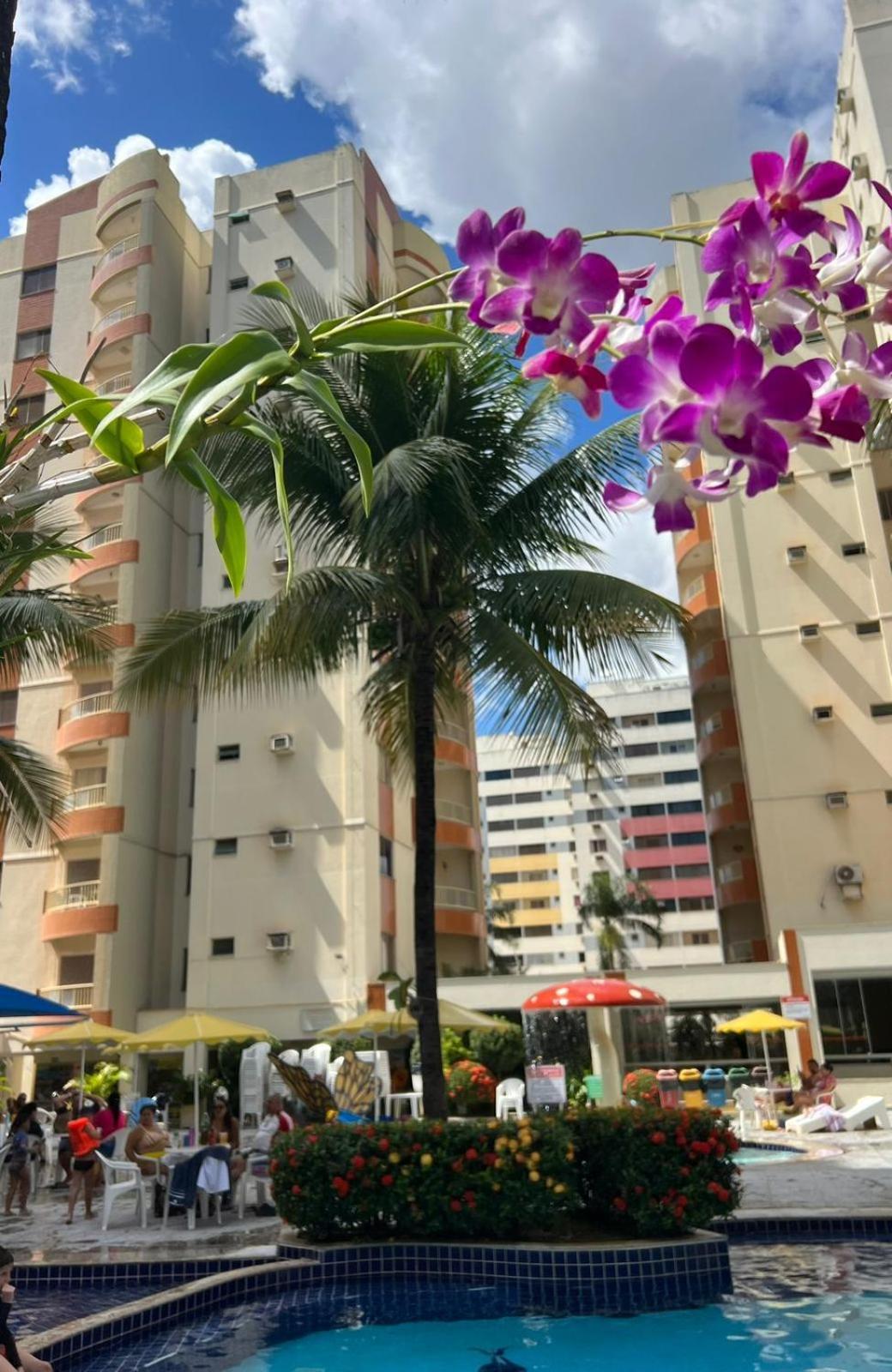 Jardins Das Thermas - Caldas Novas Vista Para Piscina Bagian luar foto